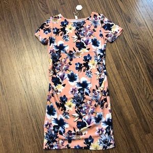 Pinkblush Maternity Dress pink with blue flowers